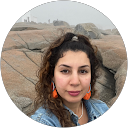 narges gollami profile picture