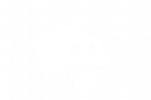 AFS